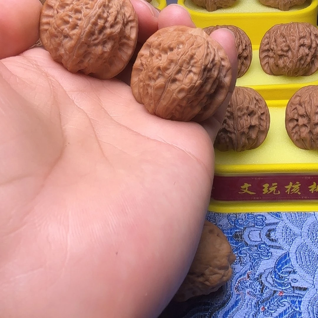 血麒麟，35尺，全品无修
