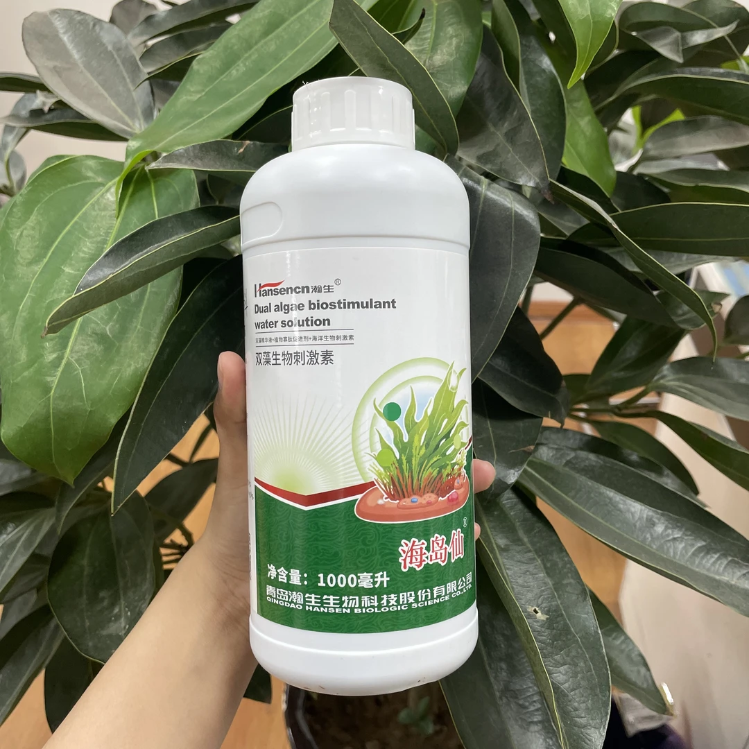 海岛仙瓜果蔬菜生根壮苗保姆肥