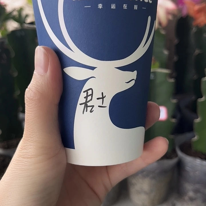 果***阳当前无花朵，栽培后可花朵君子兰花土