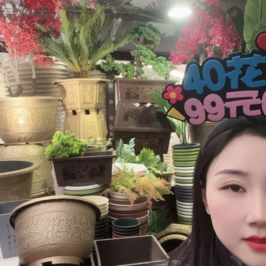 复合凤纹78花盆2个有孔