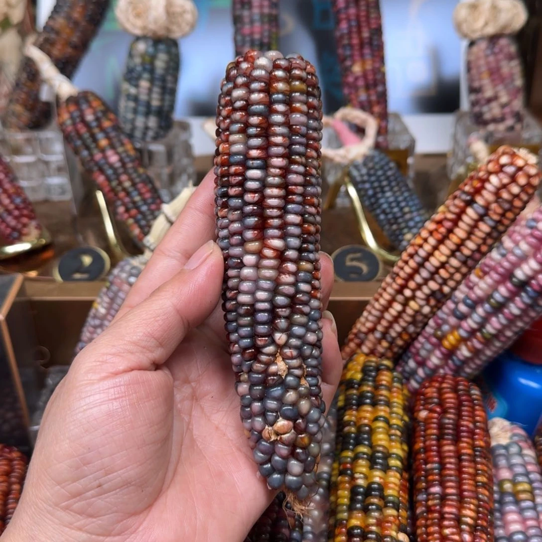 柏香籽/百香籽吊坠康**仔