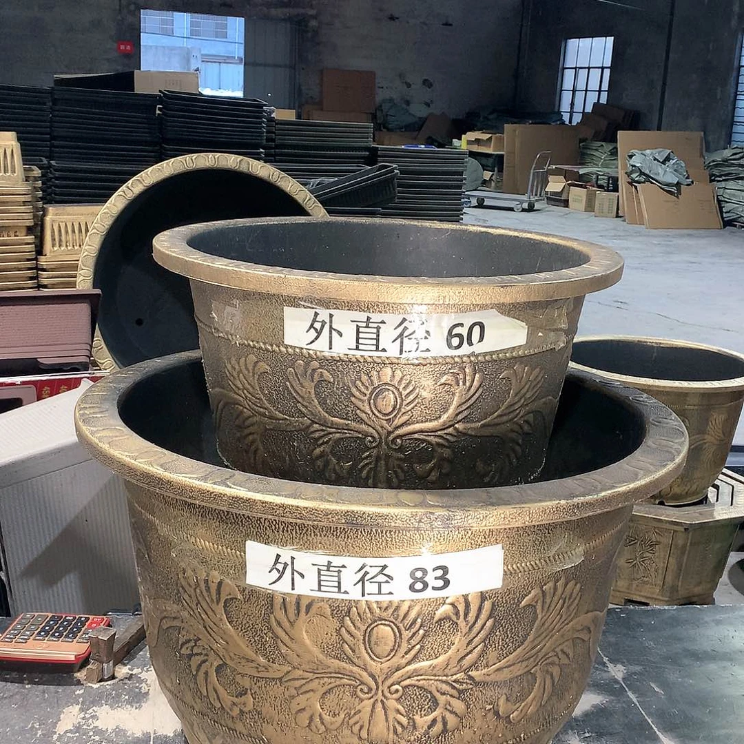 复合梁****奶花盆花开了一天都没有