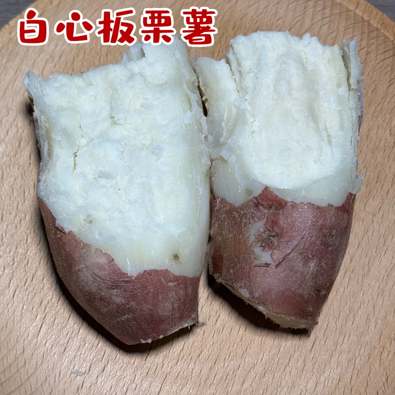 新鲜现挖白心红薯牛奶白心板栗薯粉香红皮白瓤地瓜番薯白薯原产地