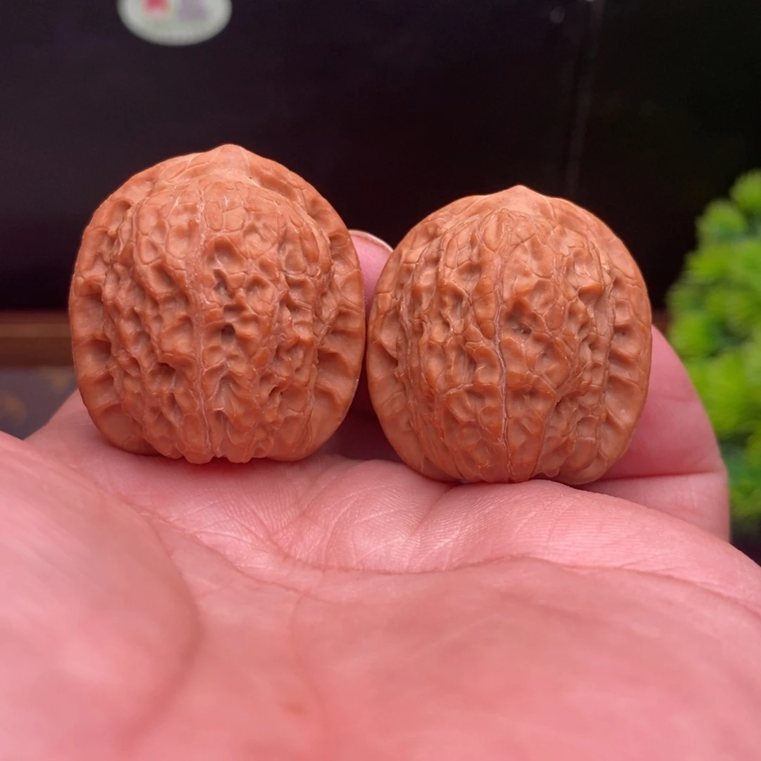 把件文玩核桃B11号32尺血麒麟