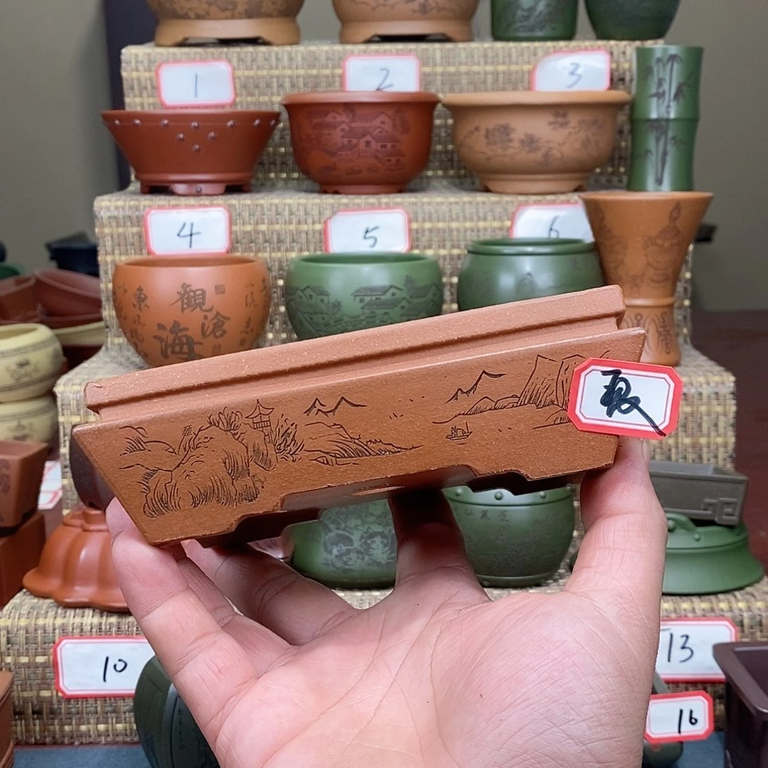 紫砂花盆我在等一