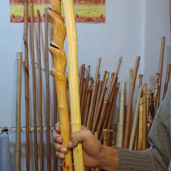 碎***安秦岭石山红荀子，牛筋木