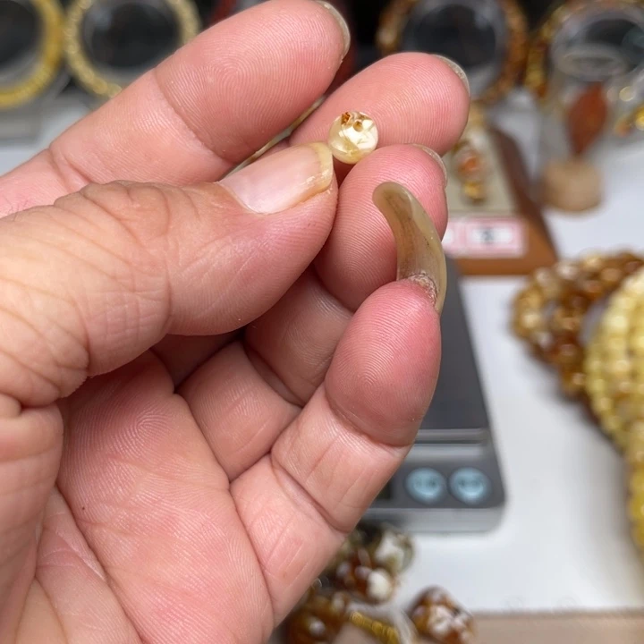 琥珀未镶嵌裸石96号