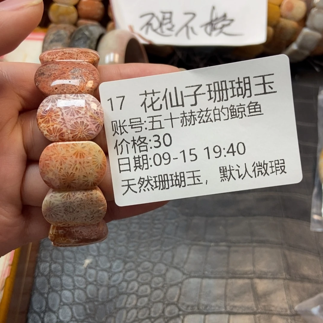 五***鱼未镶嵌硅化珊瑚（珊瑚玉）珠宝半成品17