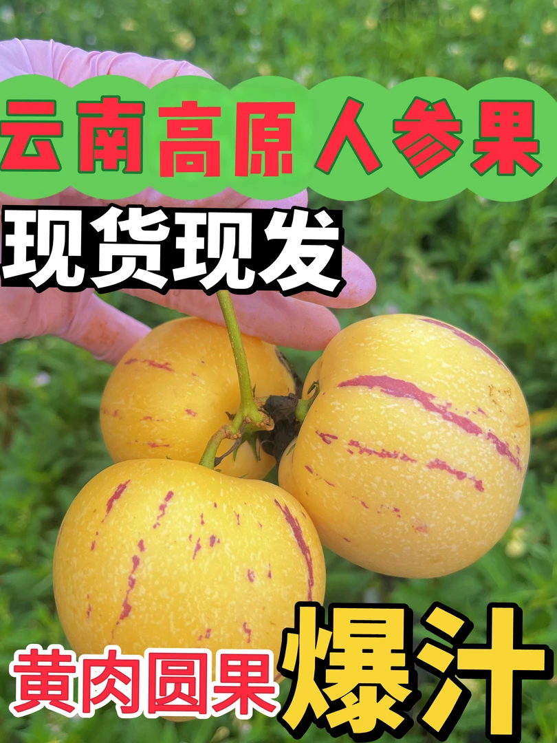 正宗云南高原果饱满皮薄清甜多汁应季水果