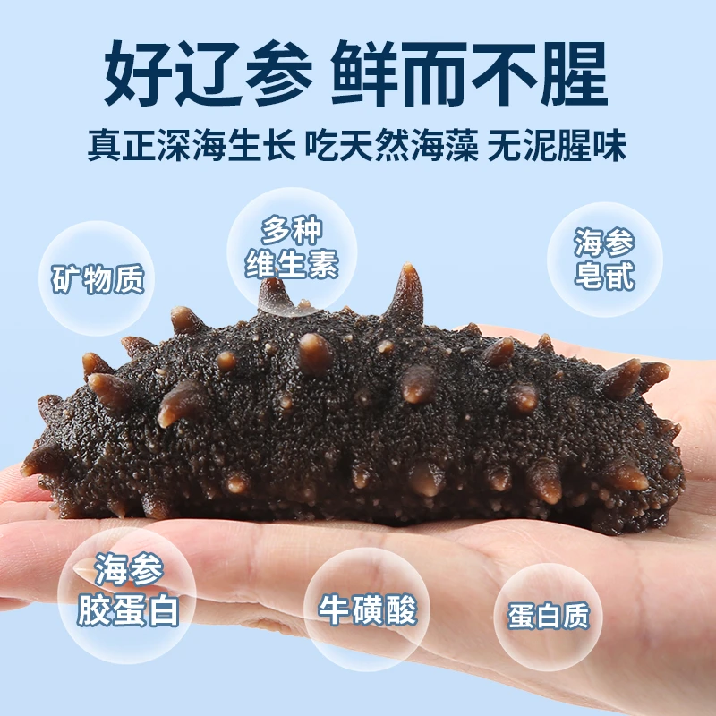 [村书记推荐]大连辽刺参冷蒸即食海参 核心产地海参