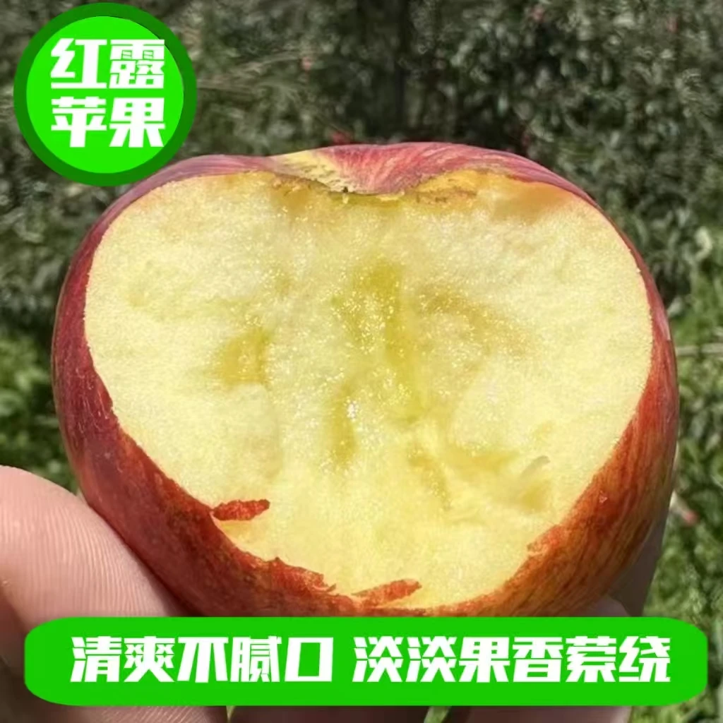云南昭通高原苹果/清香脆甜/糖心/新鲜/多汁/现摘现发