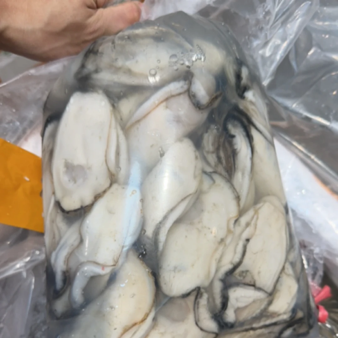 【咸淡水】【5斤特大蚝肉】