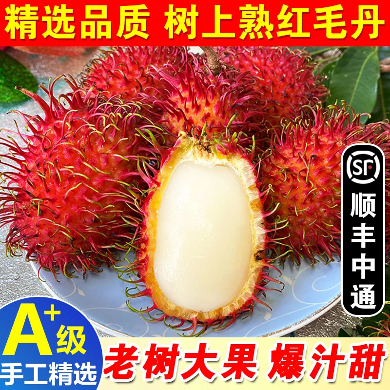 海南红毛丹新鲜水果毛荔枝顺丰包邮现发整箱红毛丹爆甜红毛丹水果