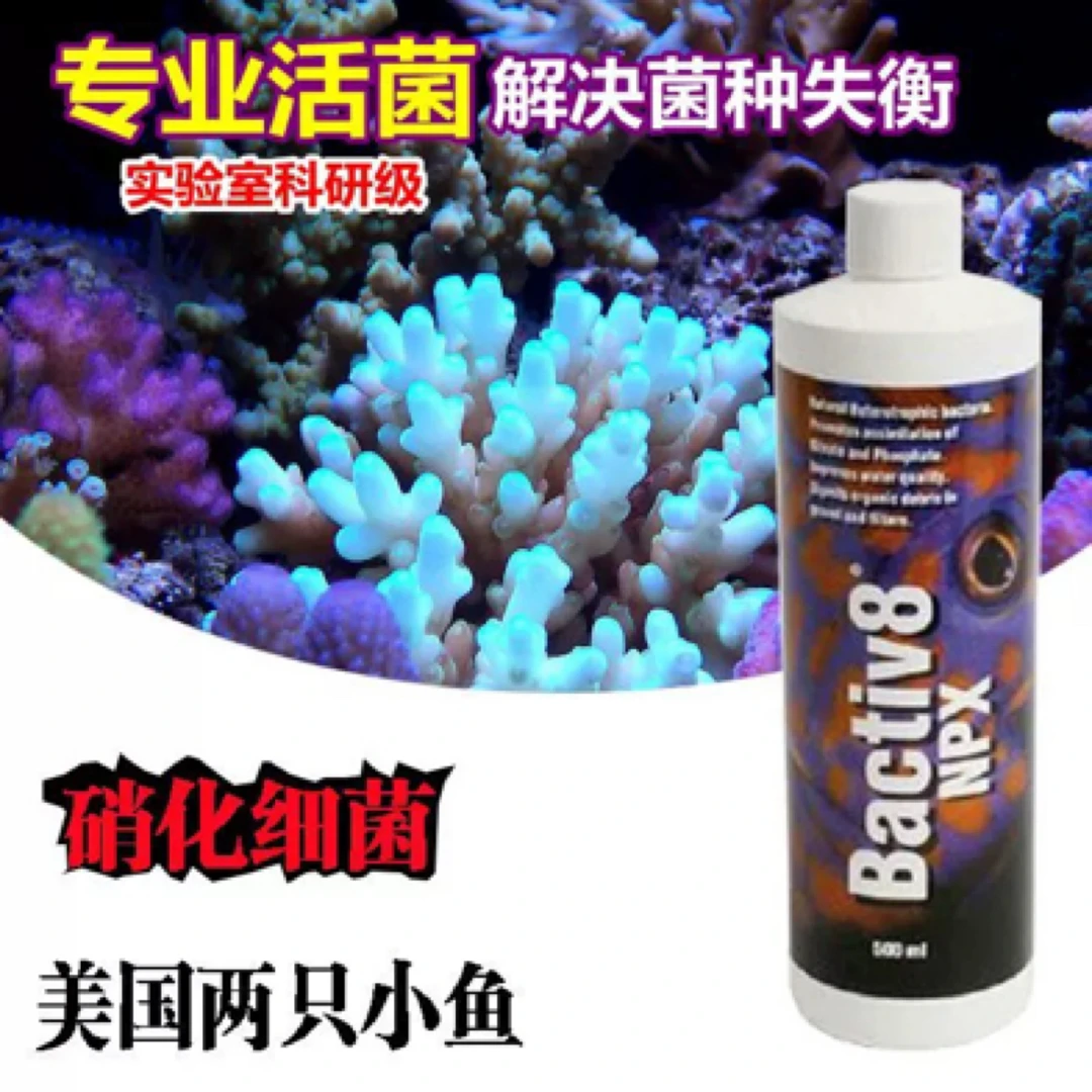 海水缸用硝化细菌活菌水族菌种
