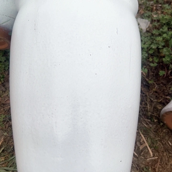 红陶口20高31。。。。。。。