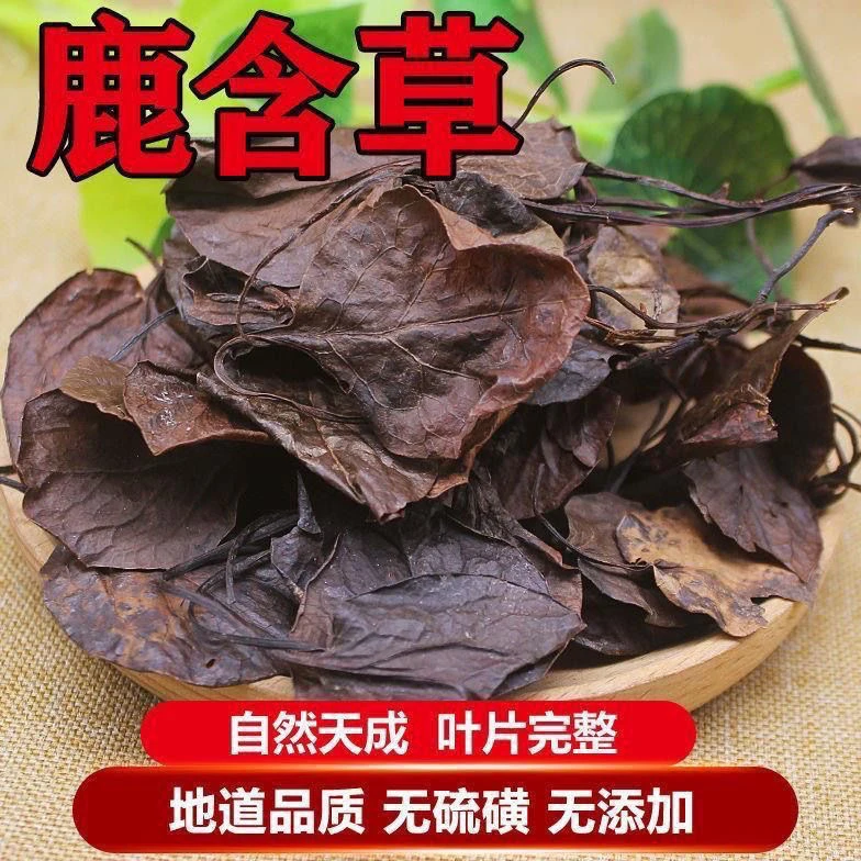 [云南深山]鹿含草