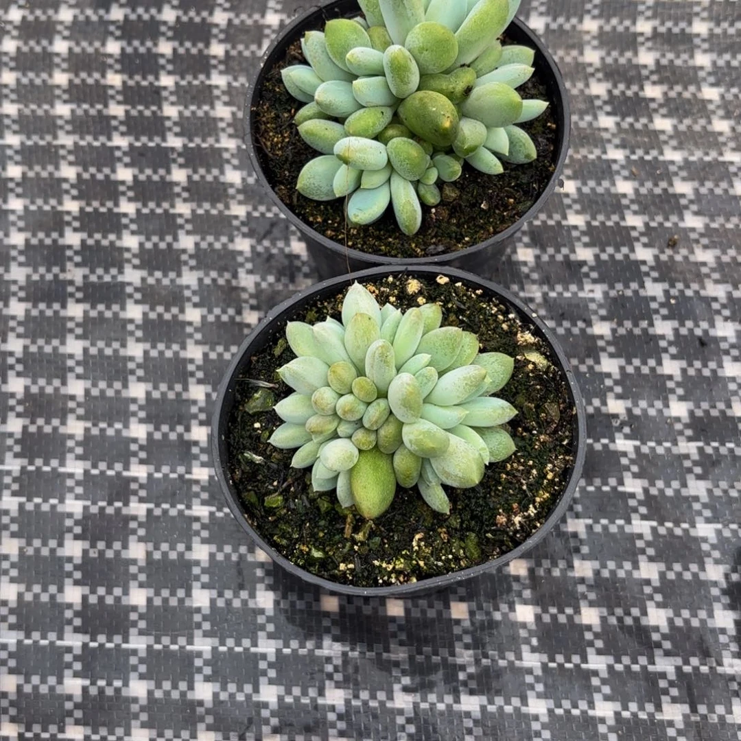 我***噻Hhkkjnbbbnnnkkkkkjjjjkkkkk