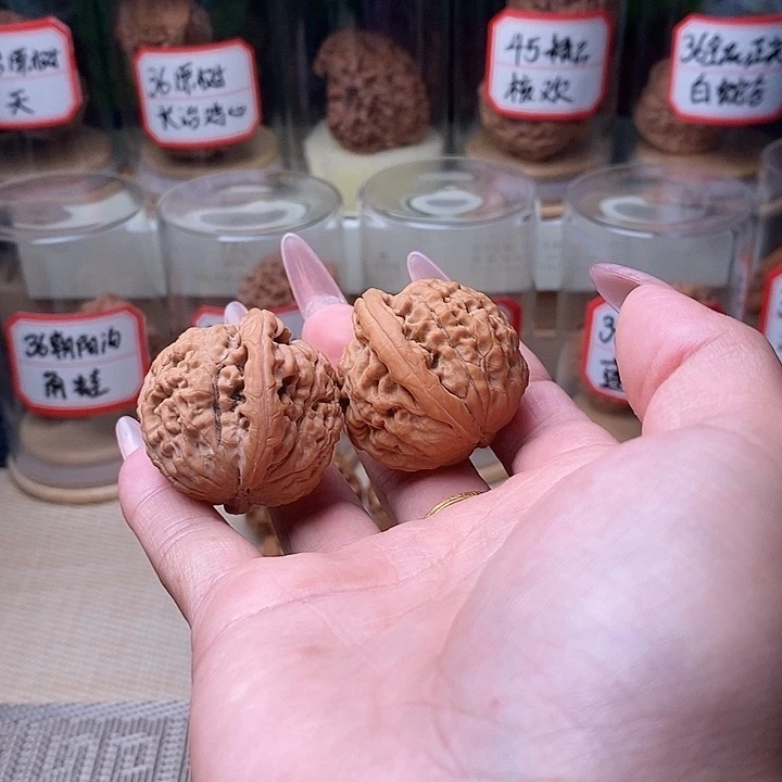 @***鱼把件文玩核桃莲花……255