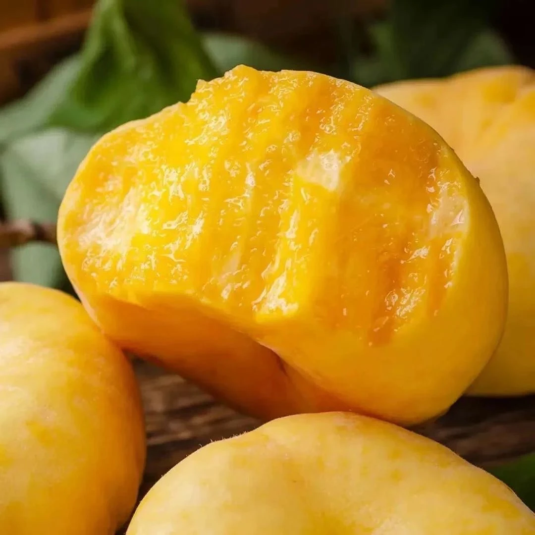 顺丰包邮【黄金毛蟠桃】山西运城新鲜应季黄毛蟠桃毛桃脆软两吃