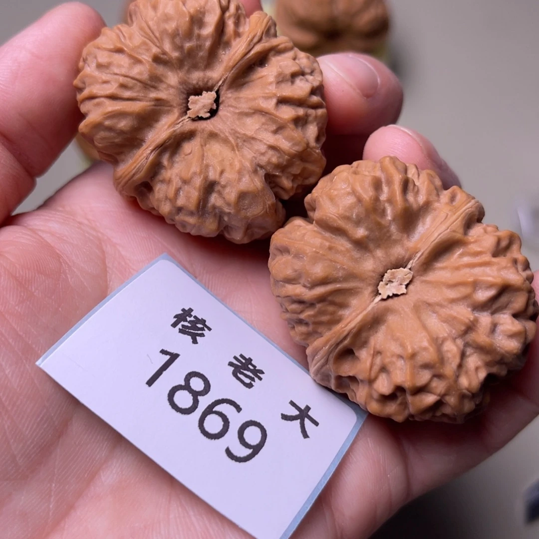 文玩核桃把件蛤蟆头1869
