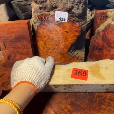 大果紫檀（缅甸花梨）