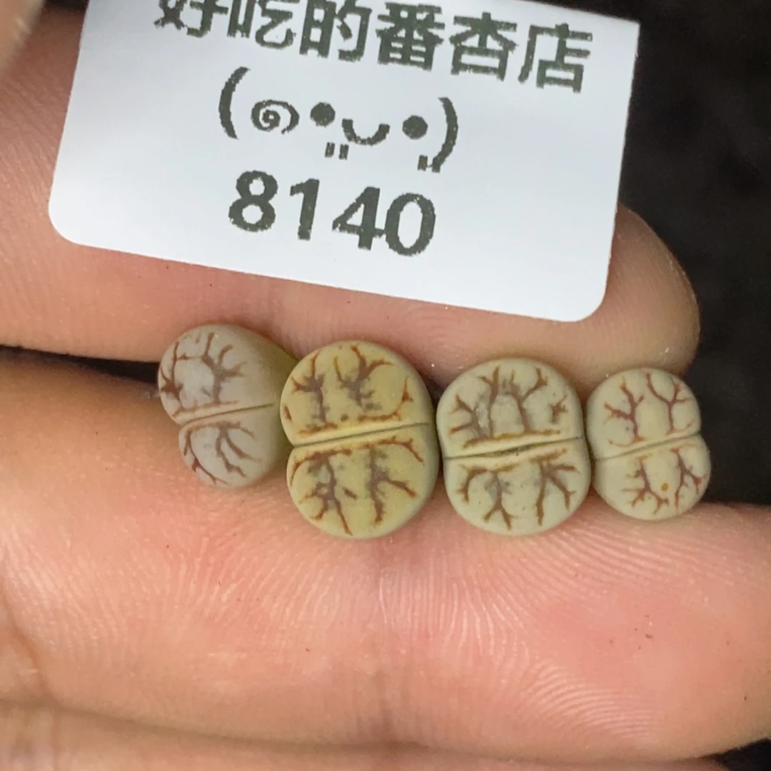 N***A8140。默认脱土。18包邮。偏远88包邮
