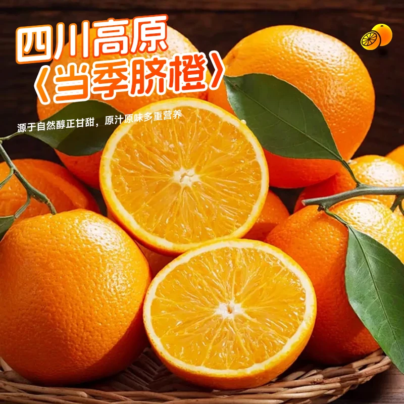 高原脐橙（老树脐橙）四川老品种橙子