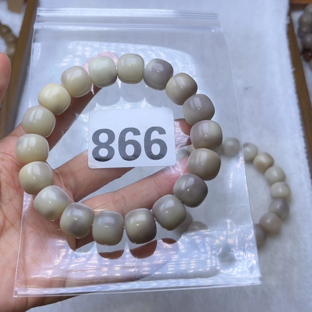 ****菩提根/象牙果手串866