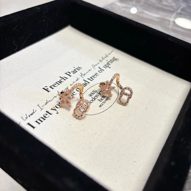 铜合金合成锆石耳饰 CD字母星星粉色耳环EH3930