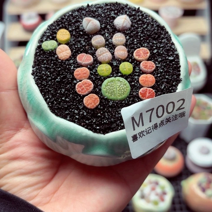 7002零下地区拍保温箱