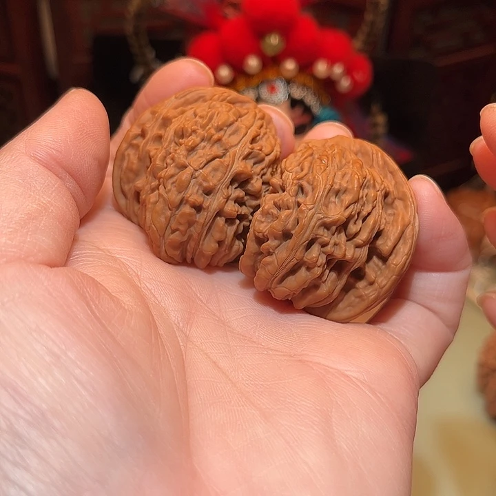 四座楼半臂……………………