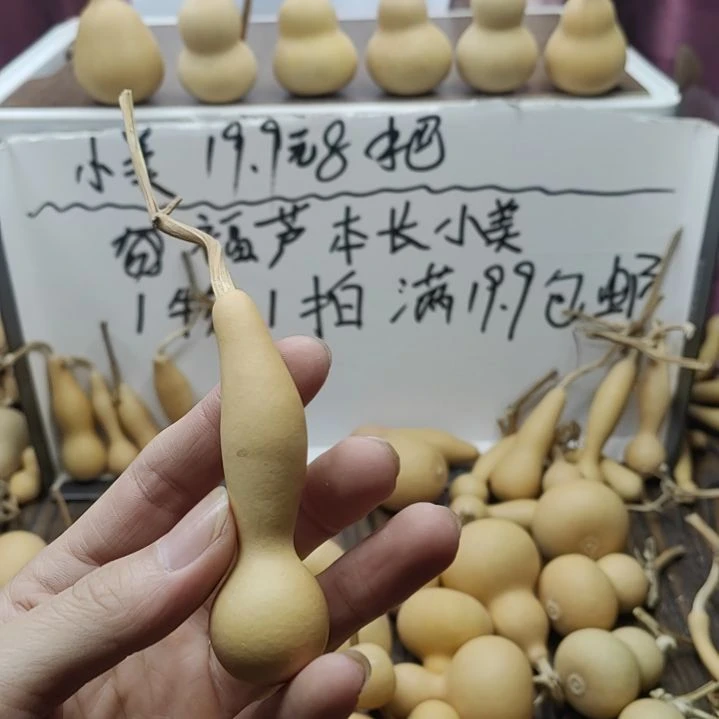 小本长葫芦挂件文玩