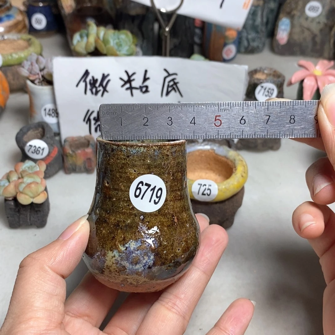 拍5送一个小礼物