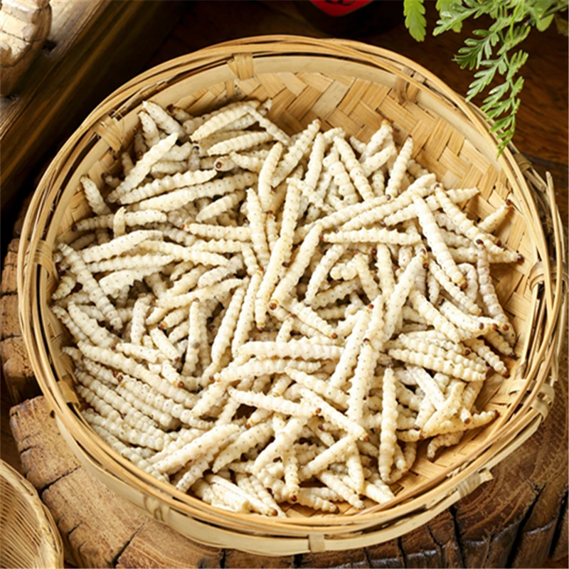 顺丰包邮云南特色美食竹蜂虫新鲜速冻冷冻竹蛹餐厅商用食用竹节虫