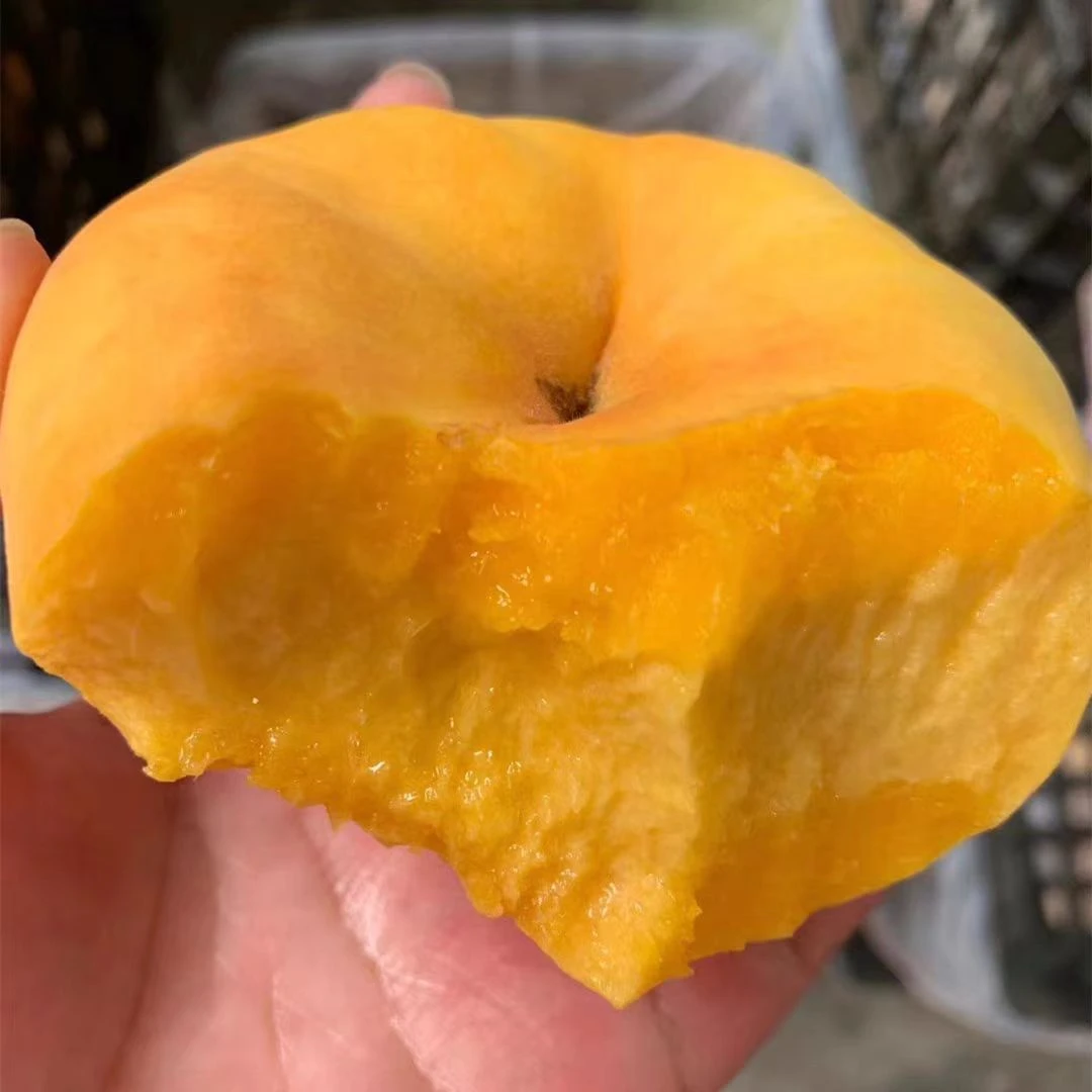 新鲜应季蒙阴毛蟠桃香甜多汁现摘现发水果