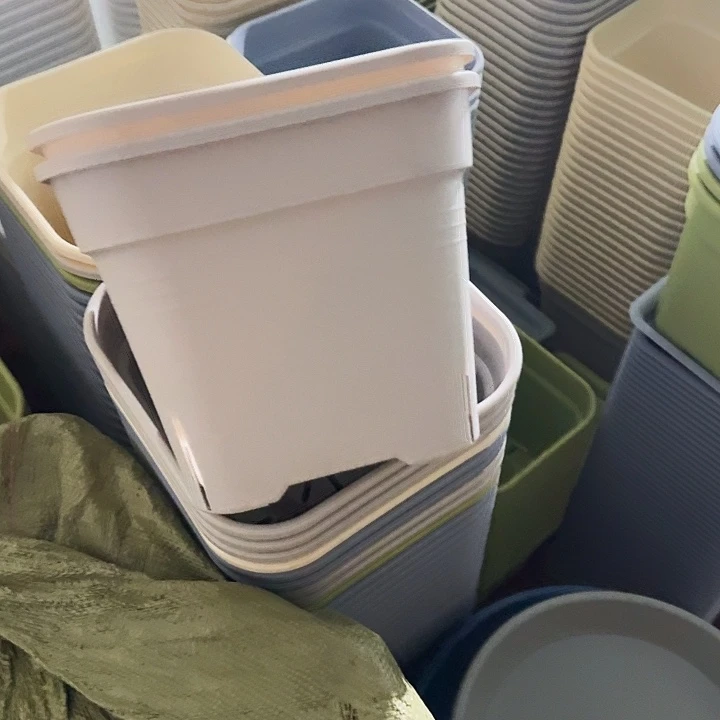 方25口径5个无托灰白新款