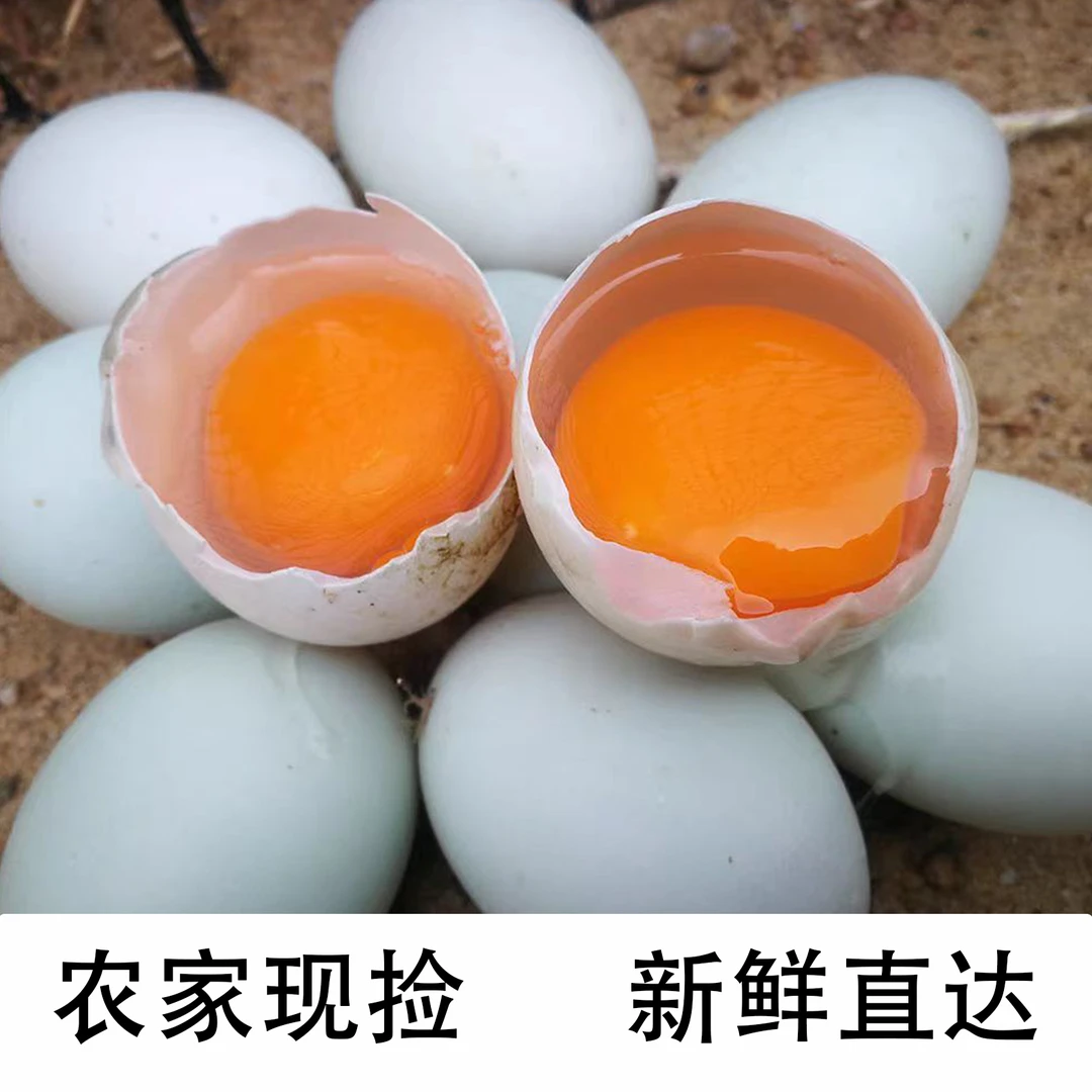 土鸭蛋正宗贵州三穗农家散养鲜鸭蛋生鸭蛋现捡现发新鲜鸭蛋20枚