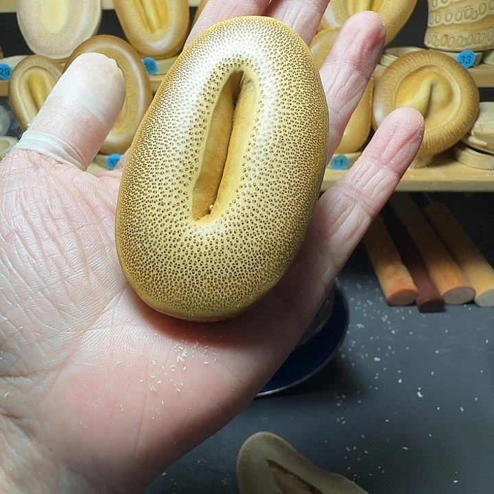 j***香榧木竹根竹隔一物一拍