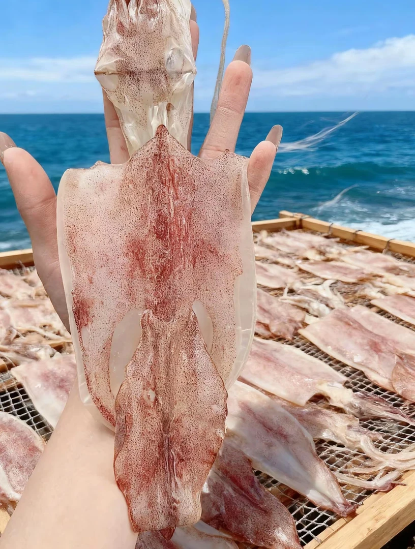 本港半干湿鱿鱼母干 潮汕风味半干大号鱿鱼 可炒菜火锅煮汤等家常