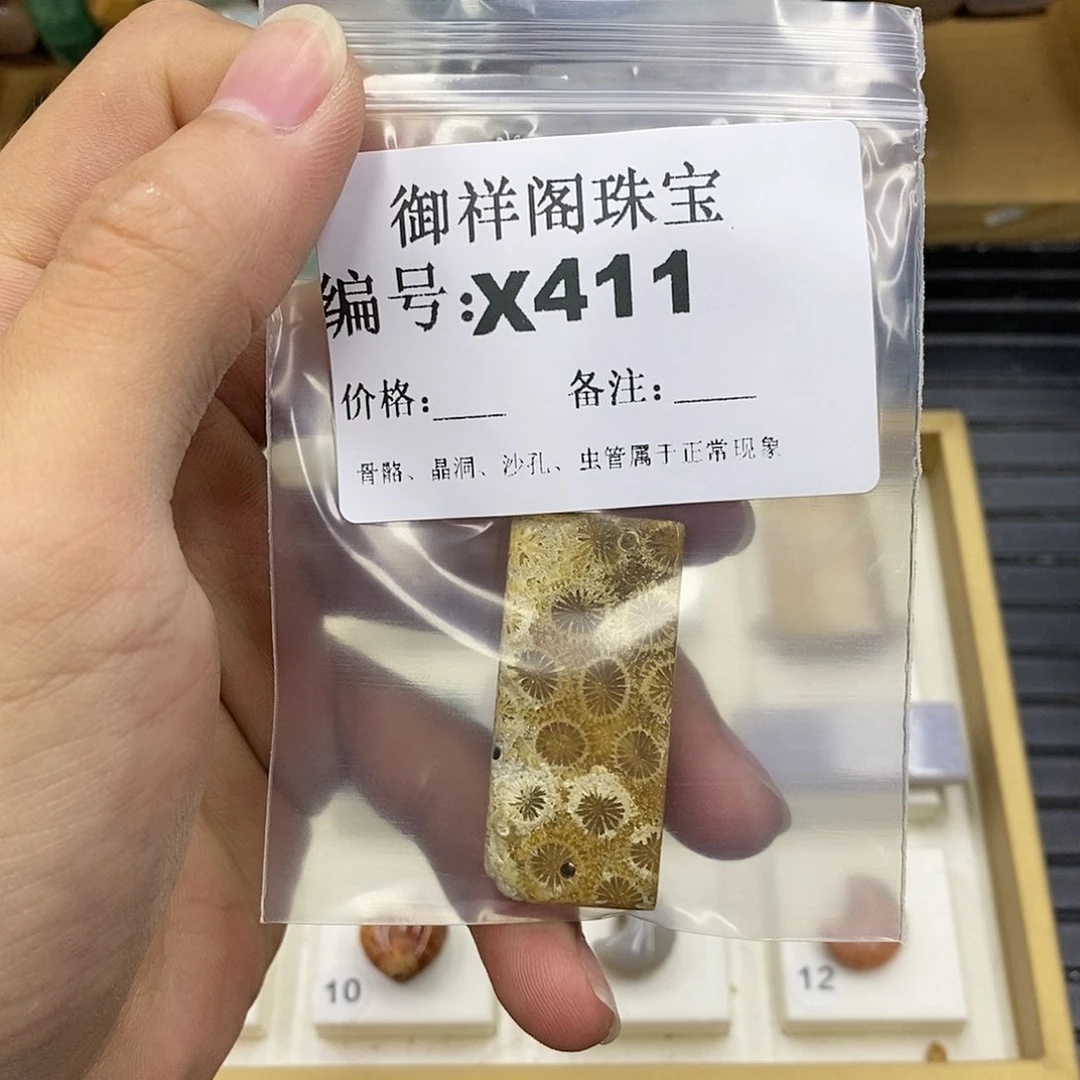 硅化珊瑚（珊瑚玉）未镶嵌颈饰有****作