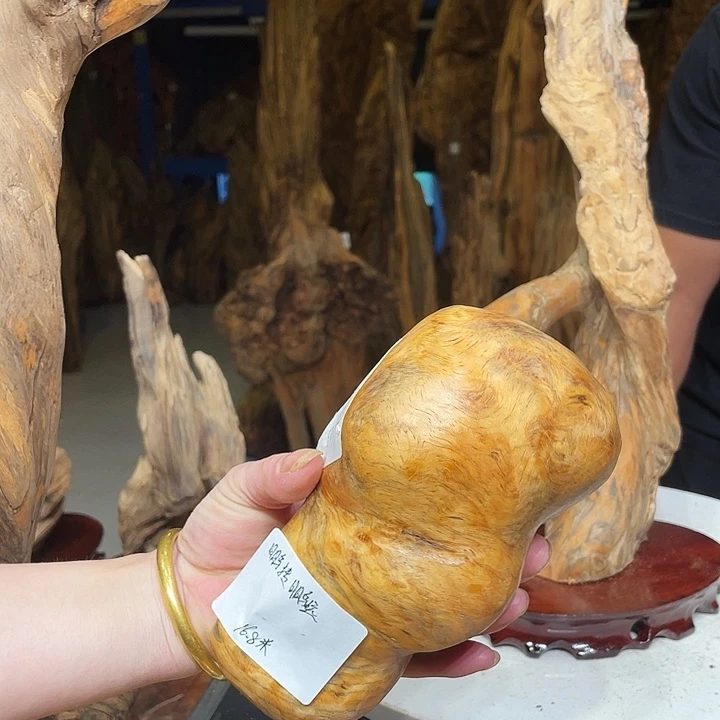 松木（琥珀木）琥珀木松明子北沉香