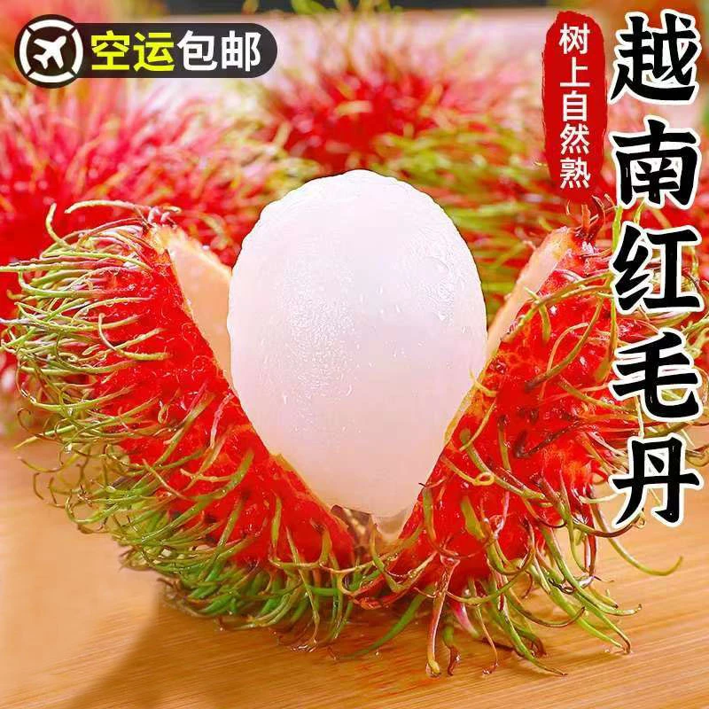 红毛丹新鲜当季整箱毛荔枝毛丹果红牡丹越南家庭装新鲜水果
