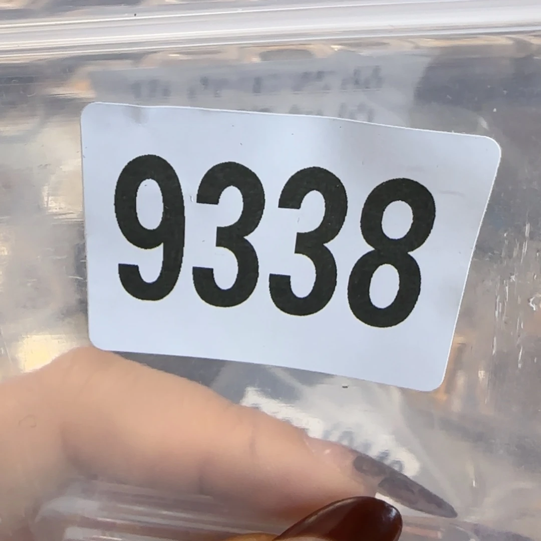 新号开播福利多多