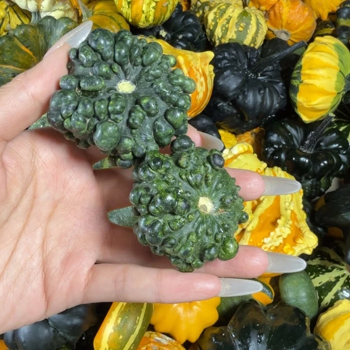 湾***沙饿哦饿哦饿哦饿哦饿哦