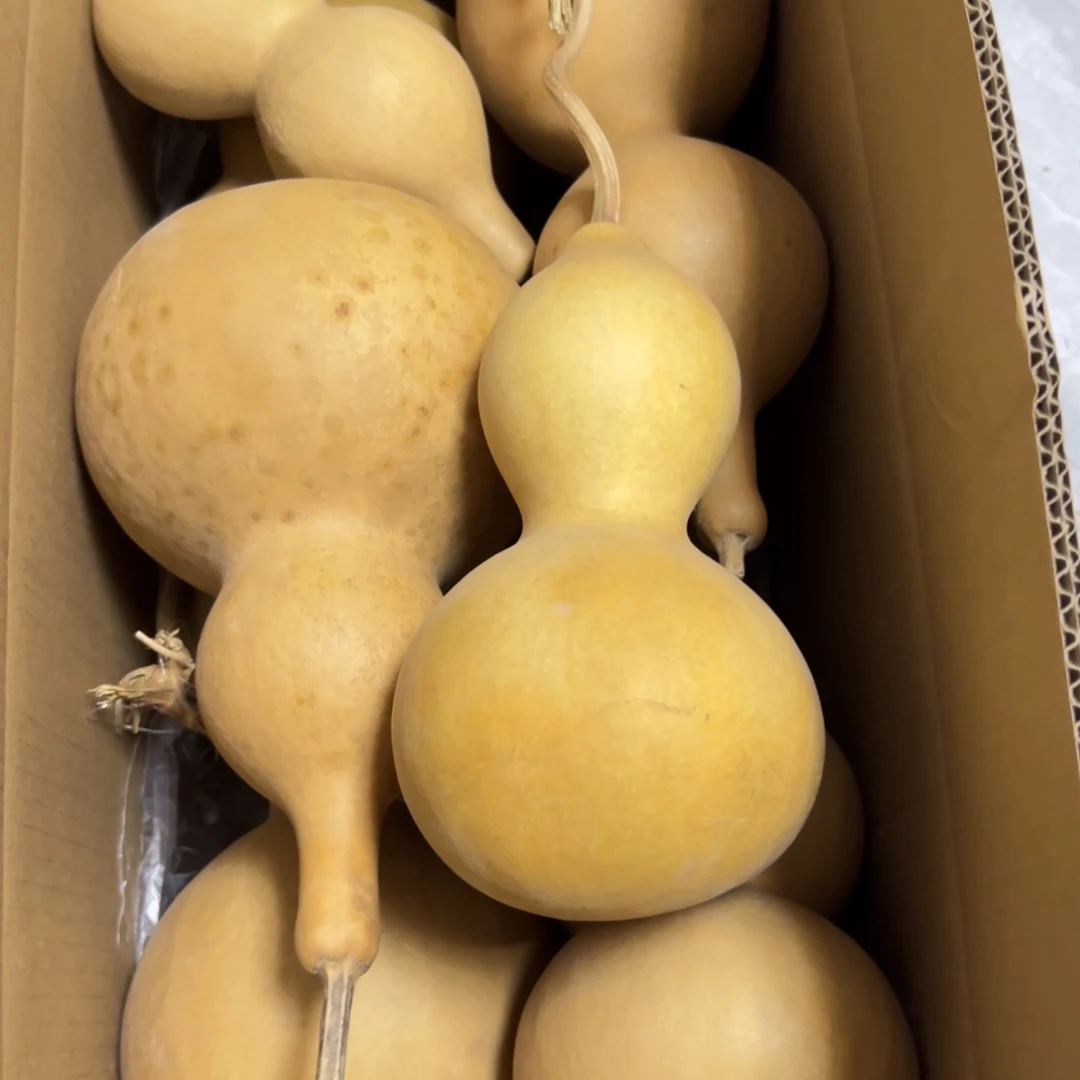 美***8有机玻璃葫芦葫芦