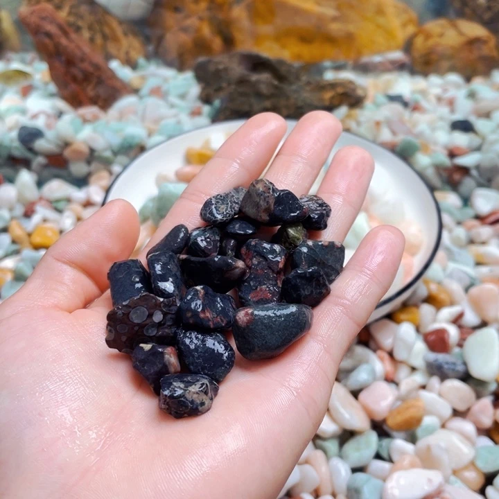 天然植物鱼缸造景石