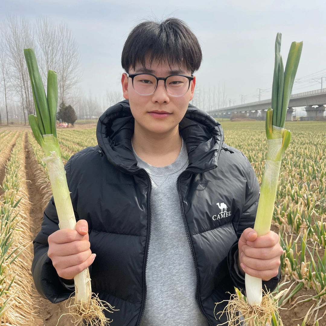 【周姐精选】山东现挖铁杆大葱新鲜带皮甜脆辣口感