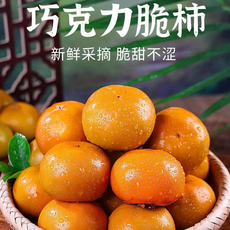 正宗阳丰脆柿山西运城巧克力脆柿子脆甜多汁现摘现发新鲜当季水果