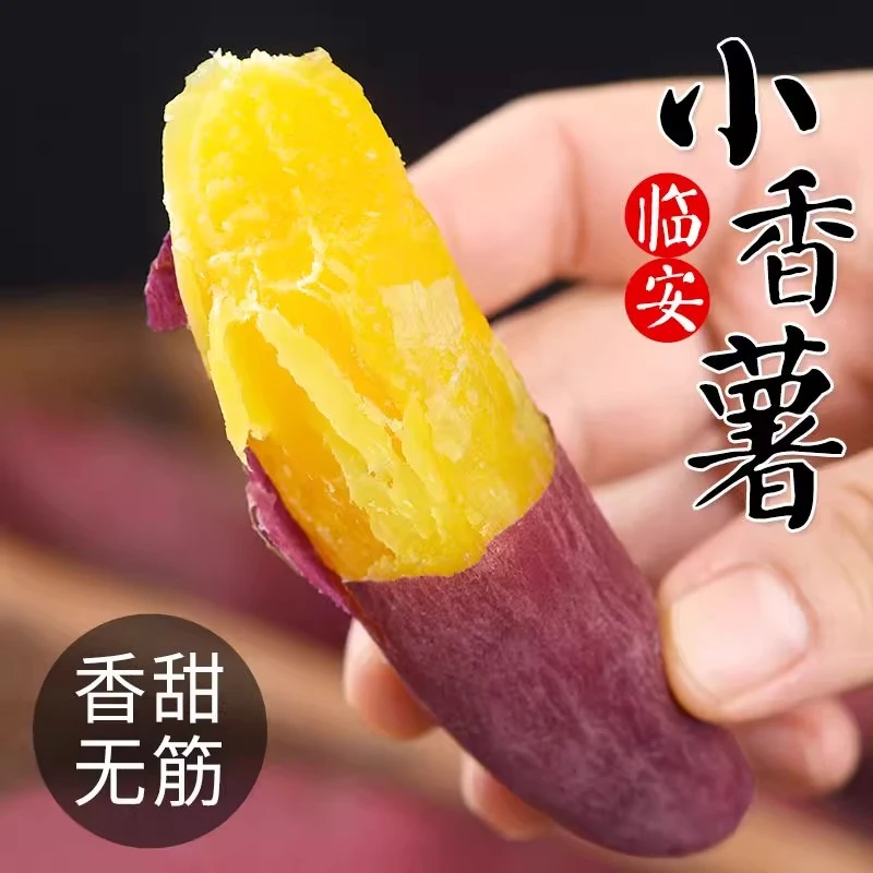 拇指小香薯当季现挖新鲜沙地蜜薯红薯糖心地瓜低热量番薯