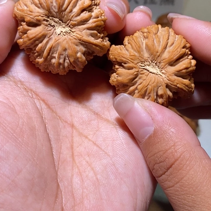 红***鱼手串/手链核桃他尖38